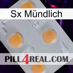 Sx Mündlich 24